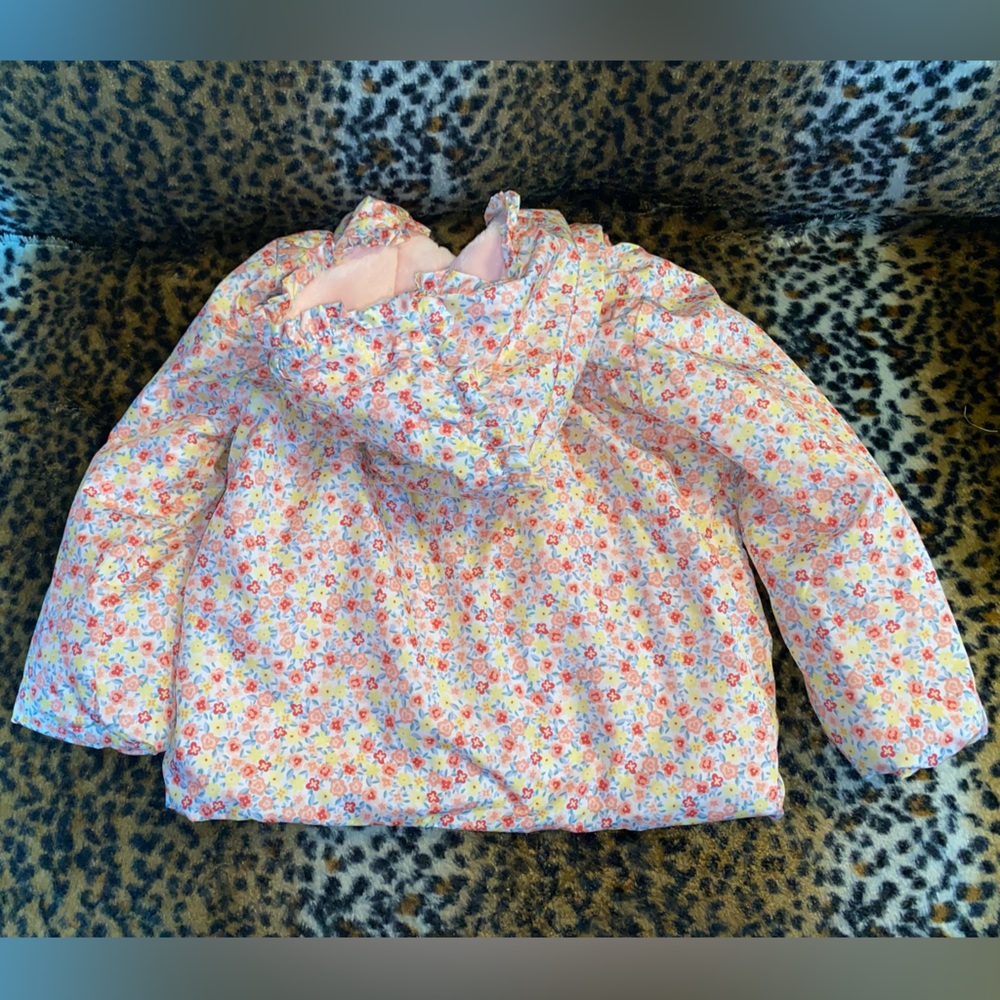 Adorable Girls Fall/Spring Jacket size 4t - Picture 8 of 9
